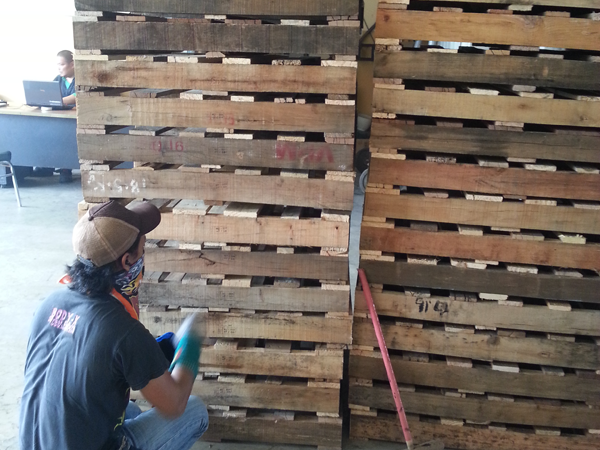Pallets are being monitored and scrutinize for defects and damages